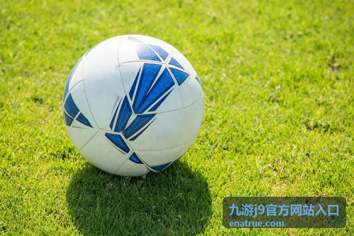 九游j9官方网站入口信息核对与提交说明示意