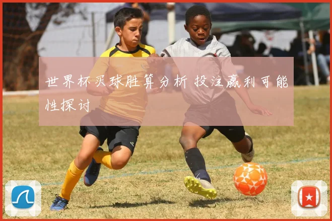 世界杯买球胜算分析 投注赢利可能性探讨