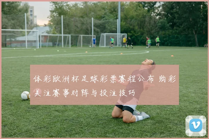 体彩欧洲杯足球彩票赛程公布 购彩关注赛事对阵与投注技巧